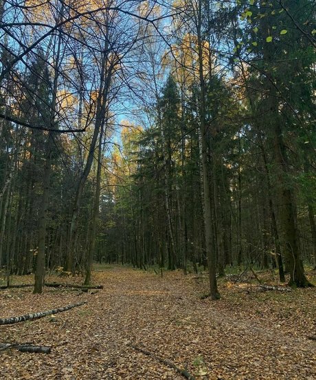 Sveta Koltunova sex model pics