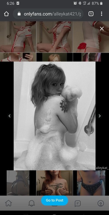 Alleykat421 pornographic actress archive