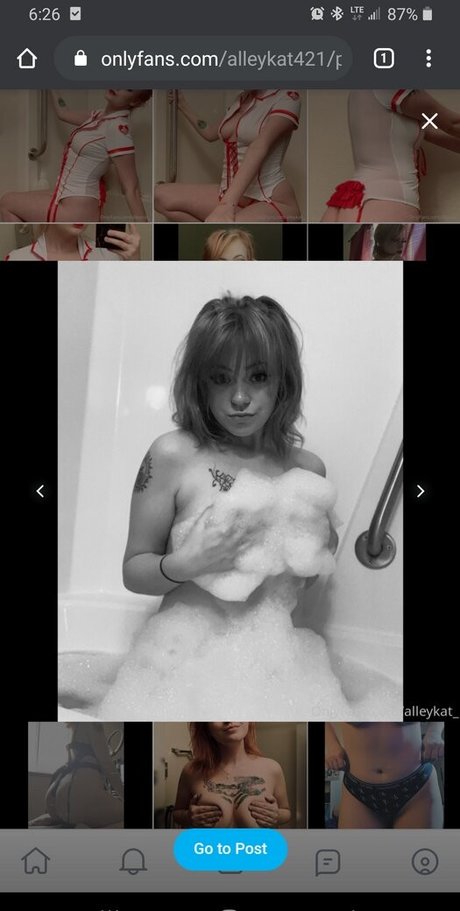 Alleykat421 model high quality picture