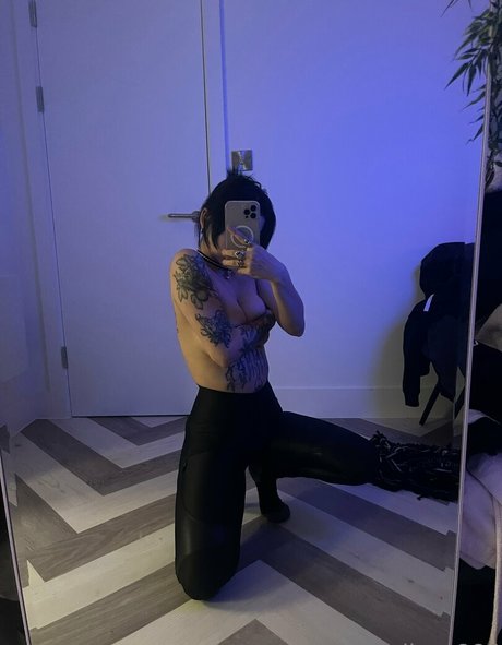 Redimp666 star perfect images