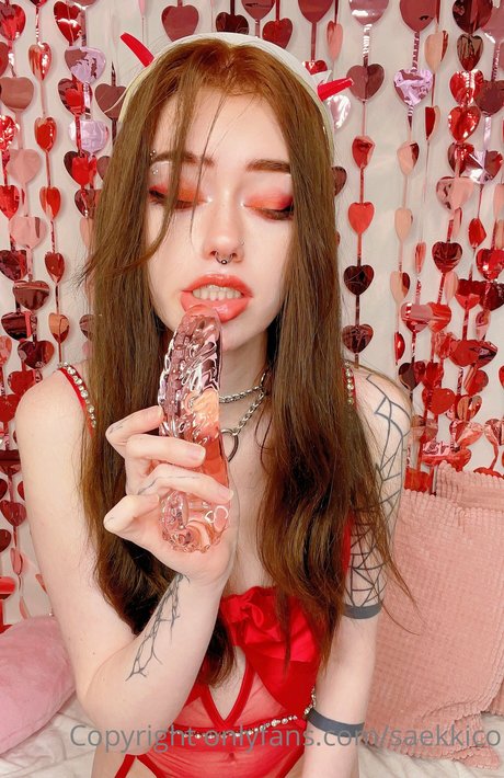 saekkico model high quality image