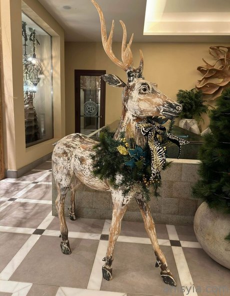 Anisyia_ model perfect photos