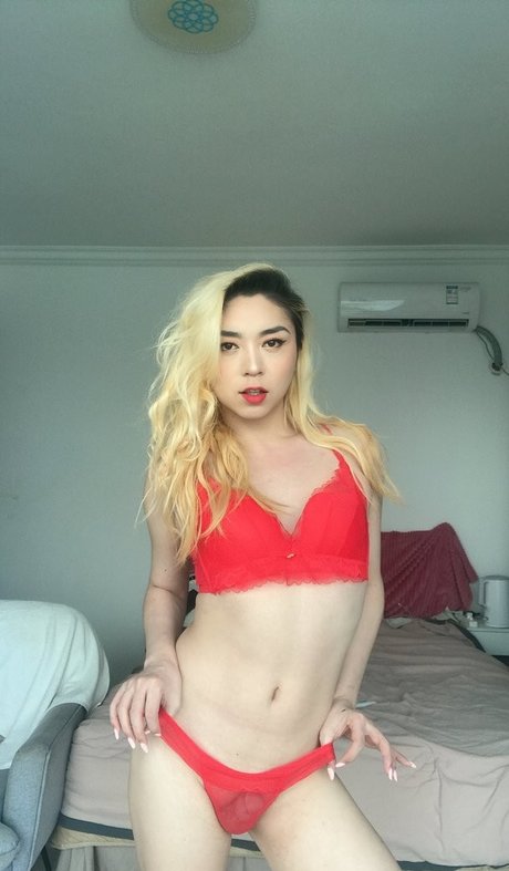 Sisdon xxx star image