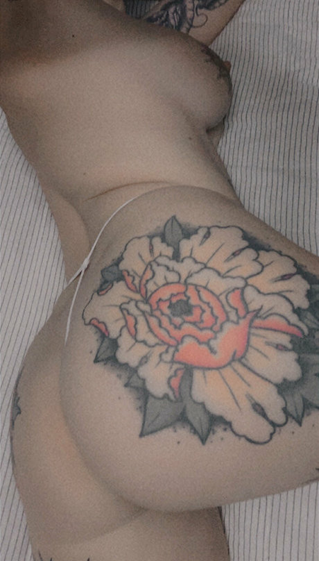 meowoliviameow model top gallery