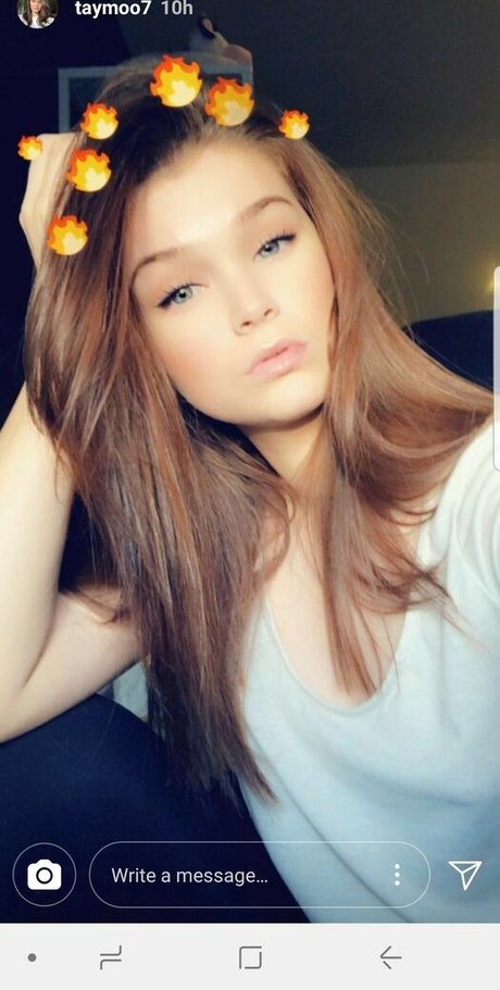 Taymoo best model archive