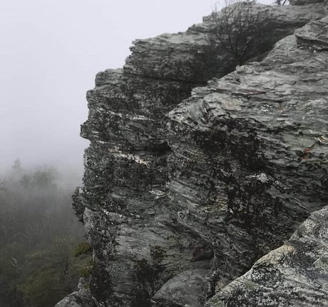 Elsalmorton star nude photo