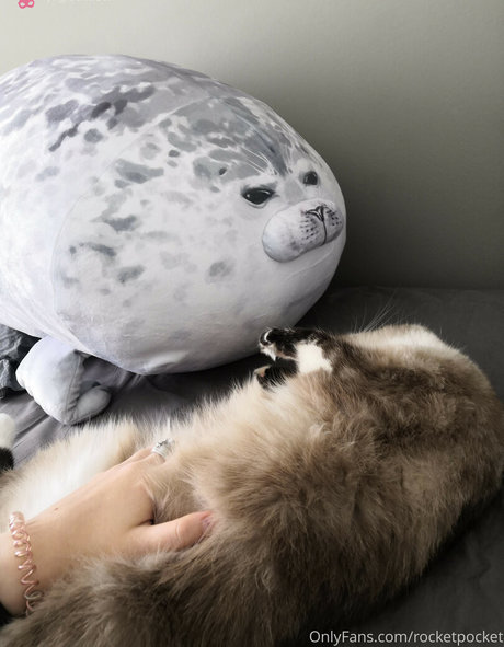 rocketpocket pornstar nudes archive