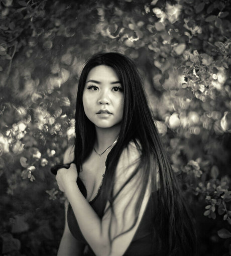 Windellia pornstar xxx archive