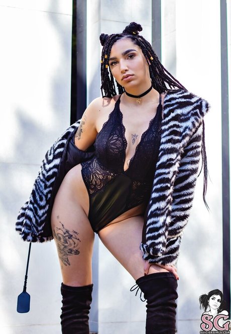 Rennvader model adult image