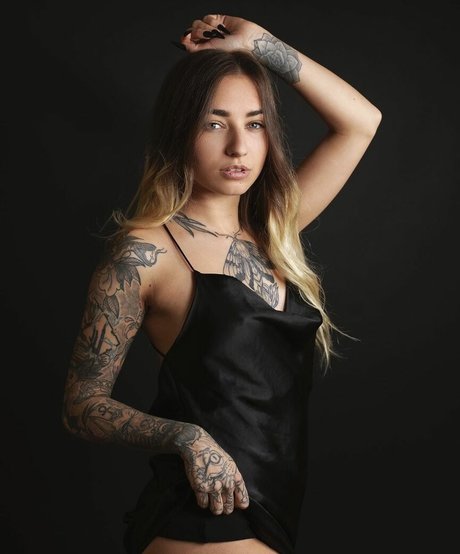 pandatylr star best gallery