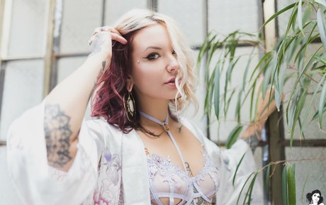 Circa sg nude star img