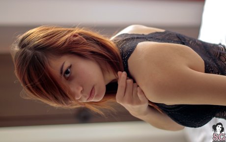 Elithes star pretty pictures