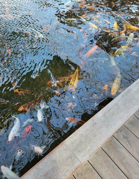 geekikitten star naked pics