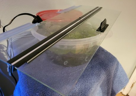 geekikitten model art photo