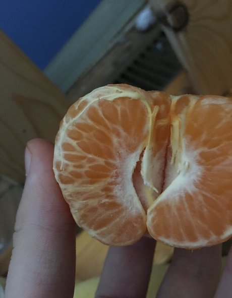 lewdology pornstar sex images