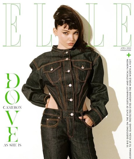 Dove Cameron top actress archive