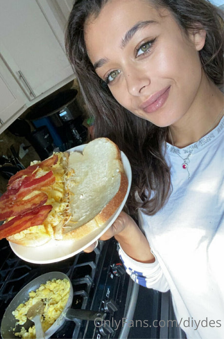 diydes hd model gallery