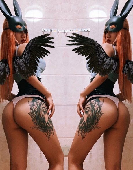 Deer white star free photos