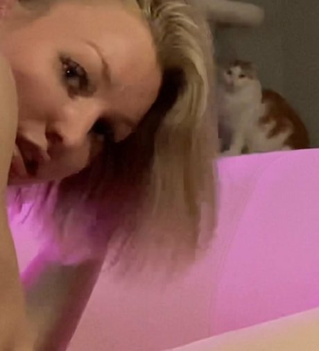 paigecams star free pictures