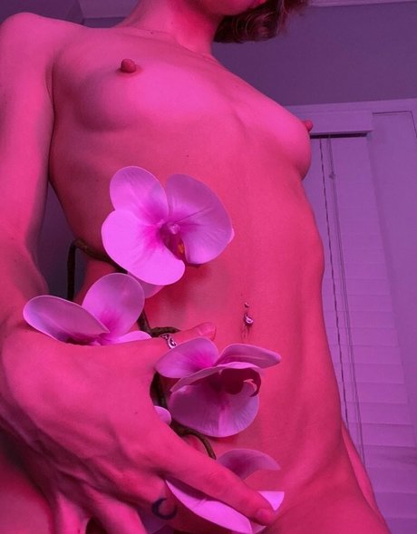 paigecams model pics