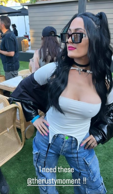 The Bella Twins_ model beautiful gallery