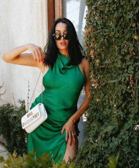 The Bella Twins_ star pictures