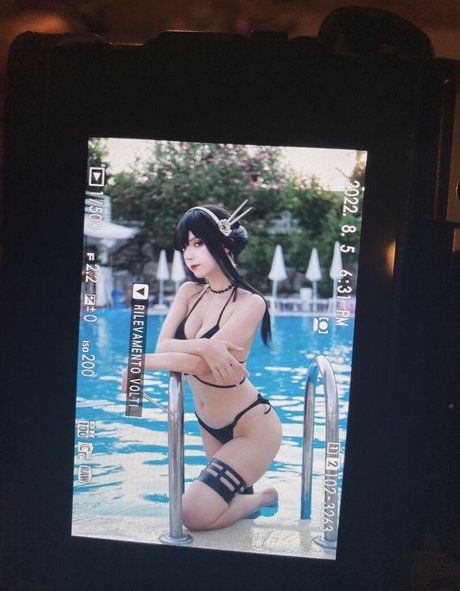 Himee lily nice actress galleries