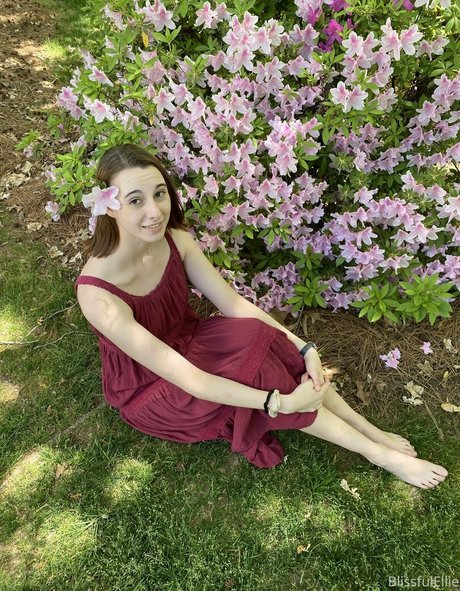 blissfulellie best star pics