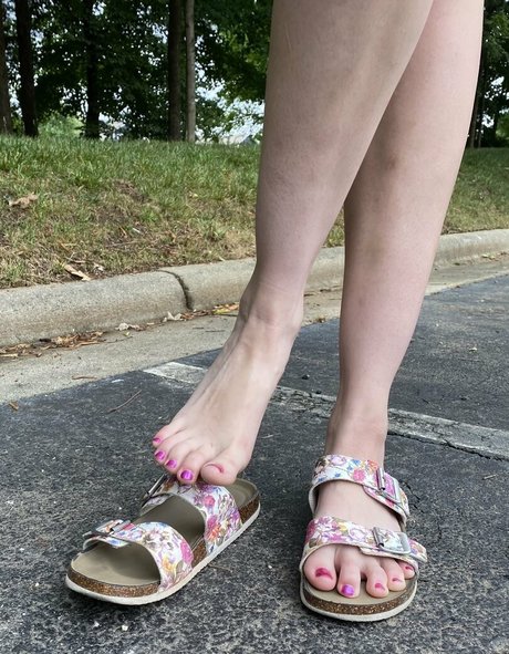 blissfulellie profile image