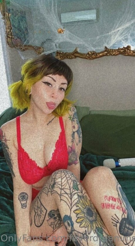 feverdreamms nice star pictures