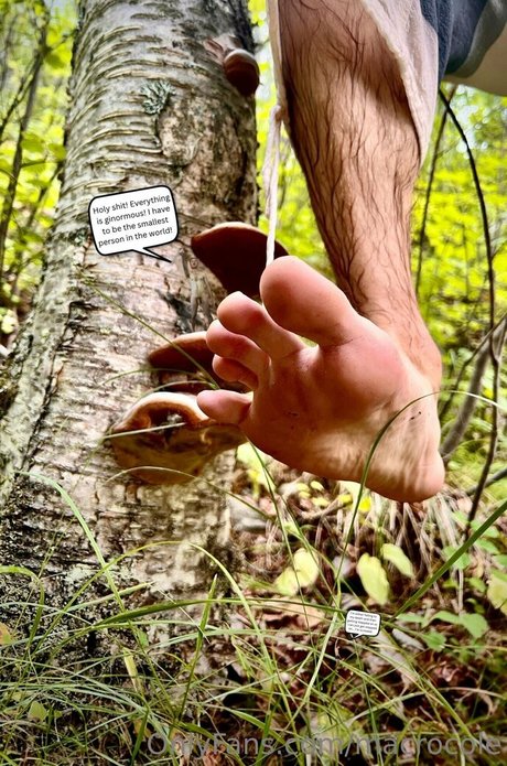 macrocole model nude gallery