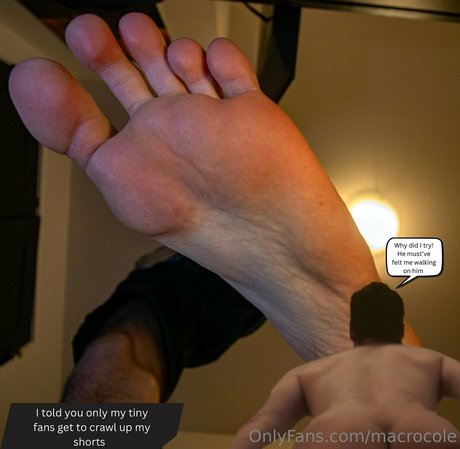 macrocole adult model images