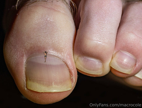 macrocole star nude gallery