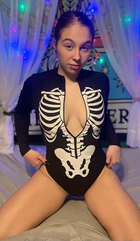 linandaddy beautiful star galleries