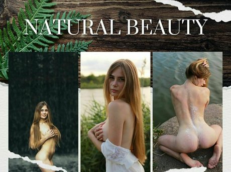 exodiafaery star top photo