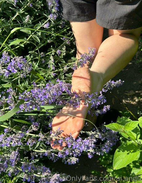 ai and0 star erotic images