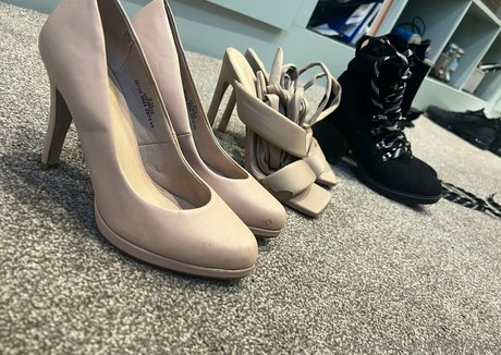 dsb2022 star free archive