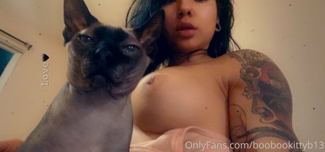 small cock shemale onlyfans free nude photo