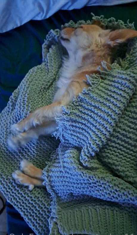 sweetcakes11 best pornstar photo