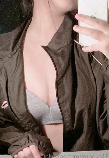 Imneko13 star art image