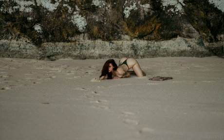 Blizzard model nice pics