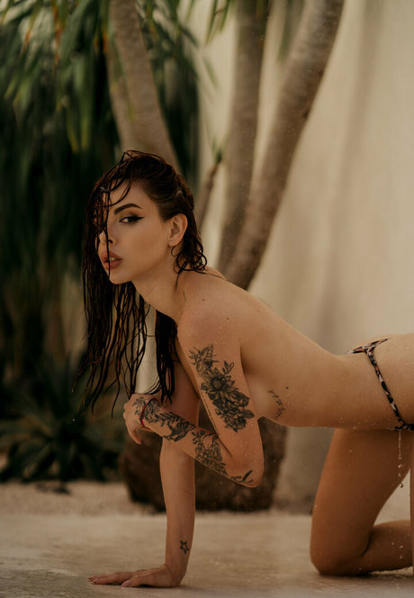 Blizzard pornstar art pictures