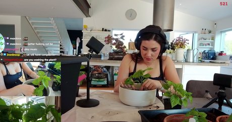 yabbe pretty pornstar image