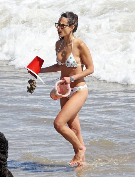 Jordana Brewster model high quality galleries