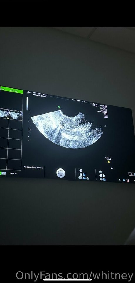 whitney sexy star archive