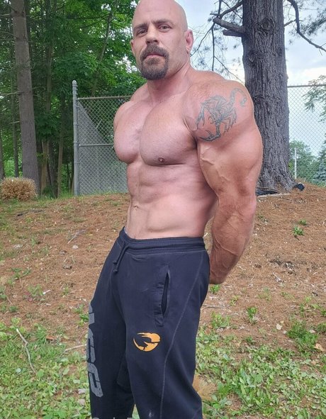 justinmetrando nice star pictures