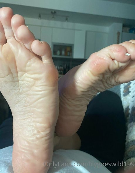 lilygoeswild199 art model archive