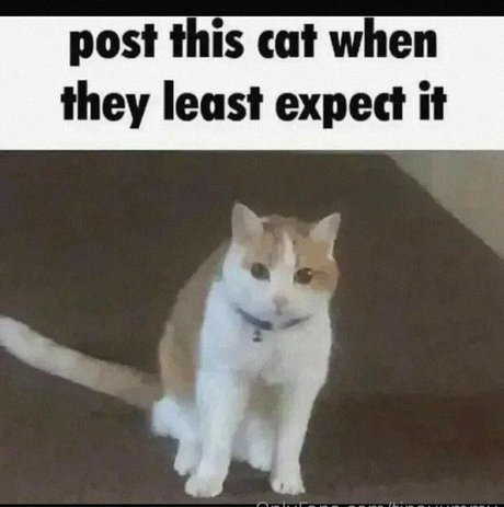 TinaYummy pornstar perfect pics