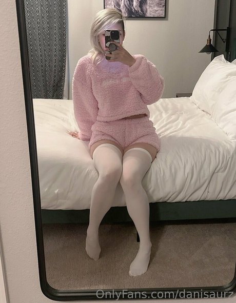 Danisaurz model top img