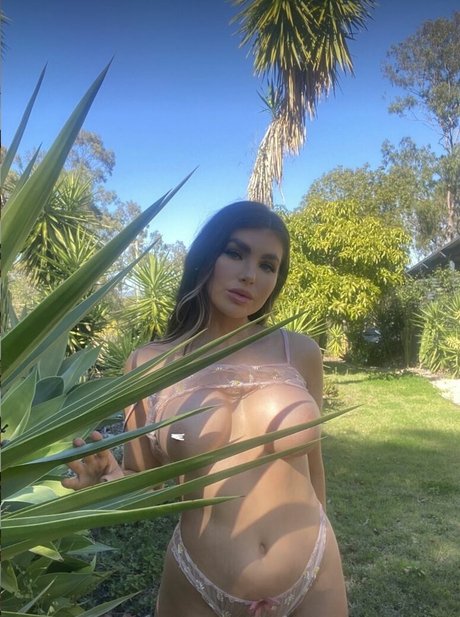 Nicole Thorne nude pornstar galleries